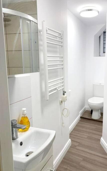 Central Studio Flat Бухарест Экстерьер фото