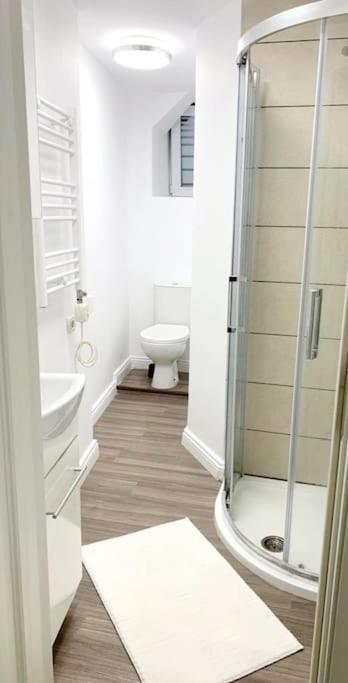 Central Studio Flat Бухарест Экстерьер фото
